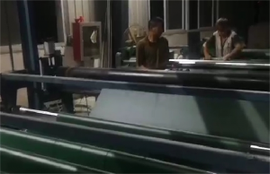 視頻實拍